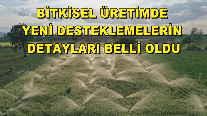 Bitkisel üretimde yeni desteklemelerin detayları belli oldu