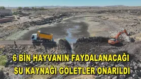 6 Bin hayvanın faydalanacağı su kaynağı göletler onarıldı