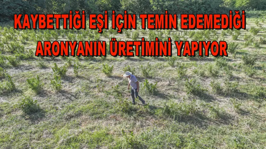 Kaybettiği eşi için temin edemediği aronyanın üretimini yapıyor