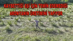 Kaybettiği eşi için temin edemediği aronyanın üretimini yapıyor