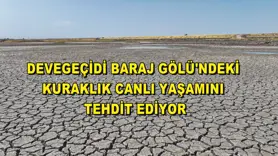 Devegeçidi Baraj Gölü'ndeki kuraklık canlı yaşamını tehdit ediyor
