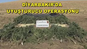 Diyarbakır'da uyuşturucu operasyonu