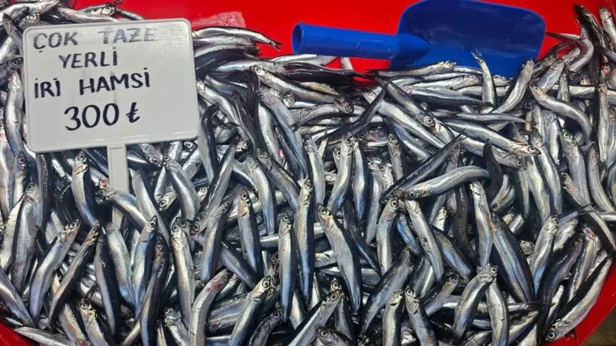 Balıkta bolluk beklentisi soğuklara kaldı