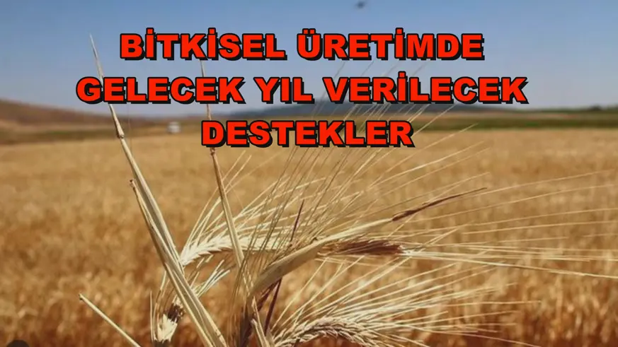 Bitkisel üretimde gelecek yıl verilecek destekler