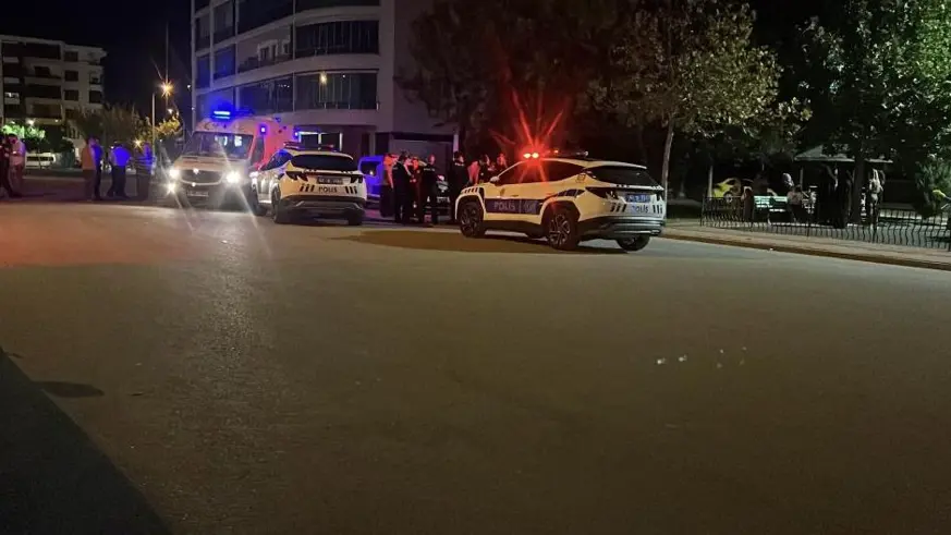 Parkta üvey babasını bıçakladı