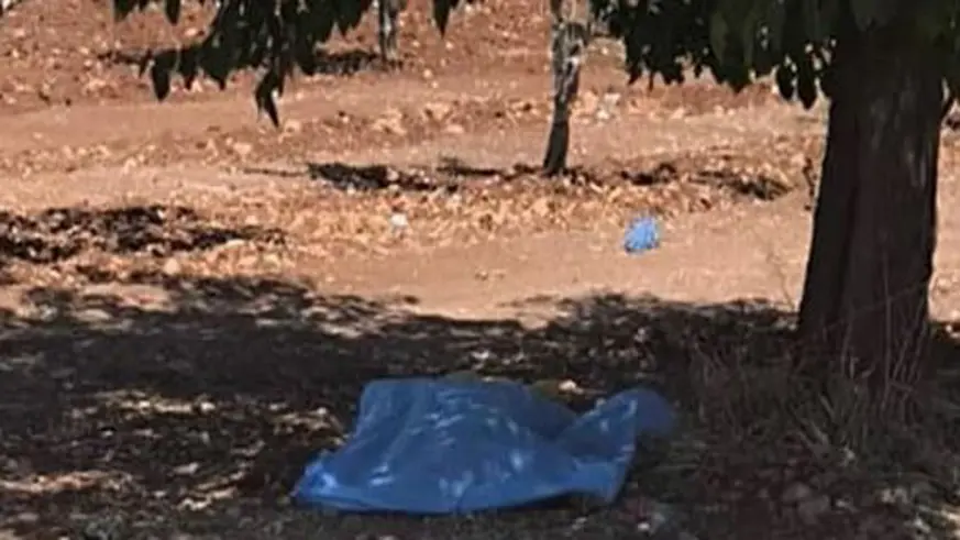 Şanlıurfa'da fıstık bahçesinde kadın cesedi bulundu