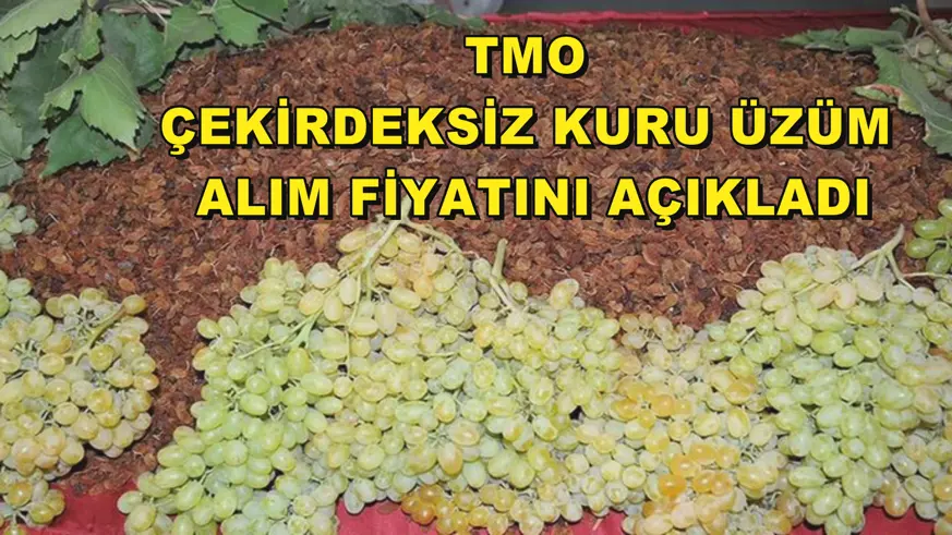 TMO çekirdeksiz kuru üzüm alım fiyatını açıkladı