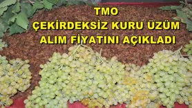 TMO çekirdeksiz kuru üzüm alım fiyatını açıkladı
