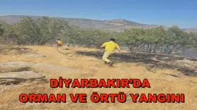 Diyarbakır’da orman ve örtü yangını
