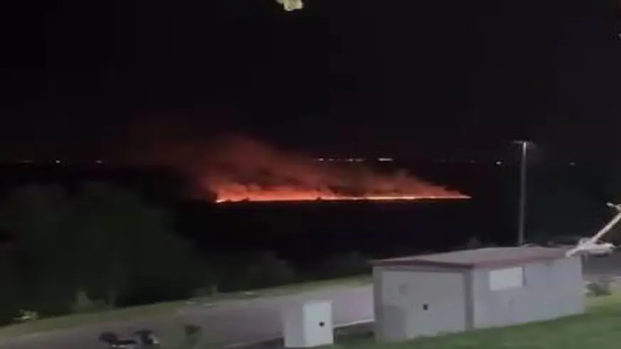 Hevsel Bahçeleri'nde korkutan yangın