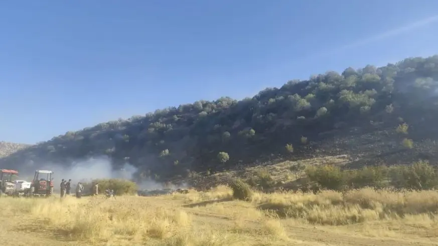 Anız yangını ormanlık alana sıçradı