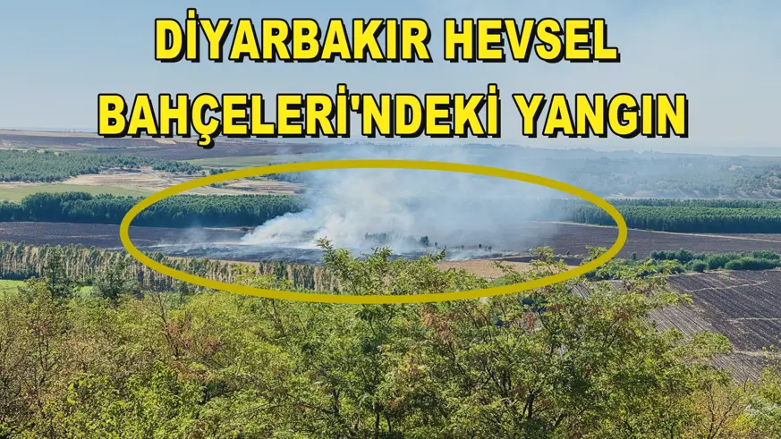 Diyarbakır Hevsel Bahçeleri'ndeki yangın