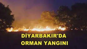 Diyarbakır'da orman yangını