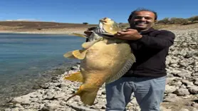 Elazığ’da 21 kiloluk dev sazan avlandı
