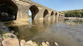 Dicle Nehri'nde balık ölümleri görüldü