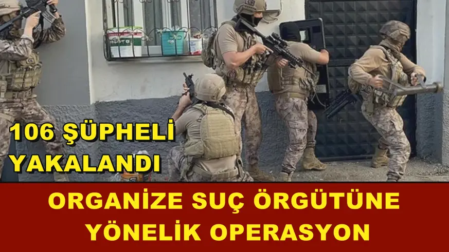 Organize suç örgütüne yönelik operasyon