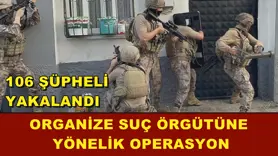 Organize suç örgütüne yönelik operasyon