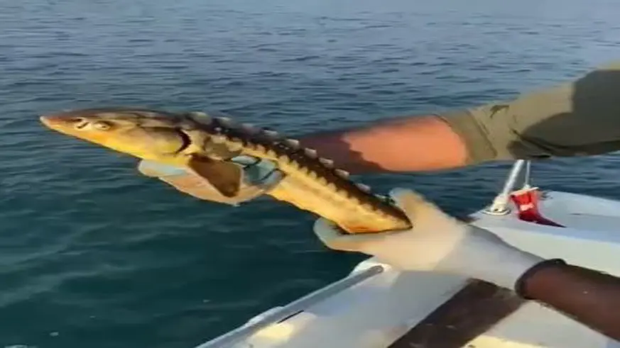 Balıkçılar örnek davranış sergiledi