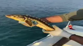 Balıkçılar örnek davranış sergiledi