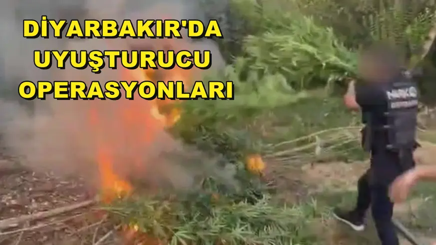 Diyarbakır'da uyuşturucu operasyonları