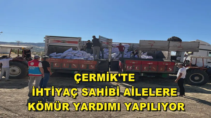 Çermik'te ihtiyaç sahibi ailelere kömür yardımı yapılıyor