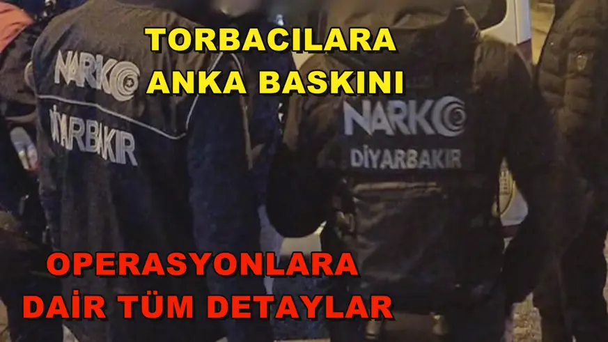 TORBACILARA ANKA BASKINI