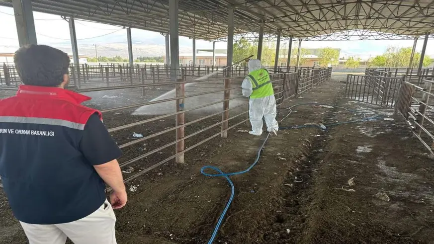 Açılan hayvan pazarı tekrar kapatıldı