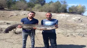 Baraj gölünde dev yayın balığı yakaladılar