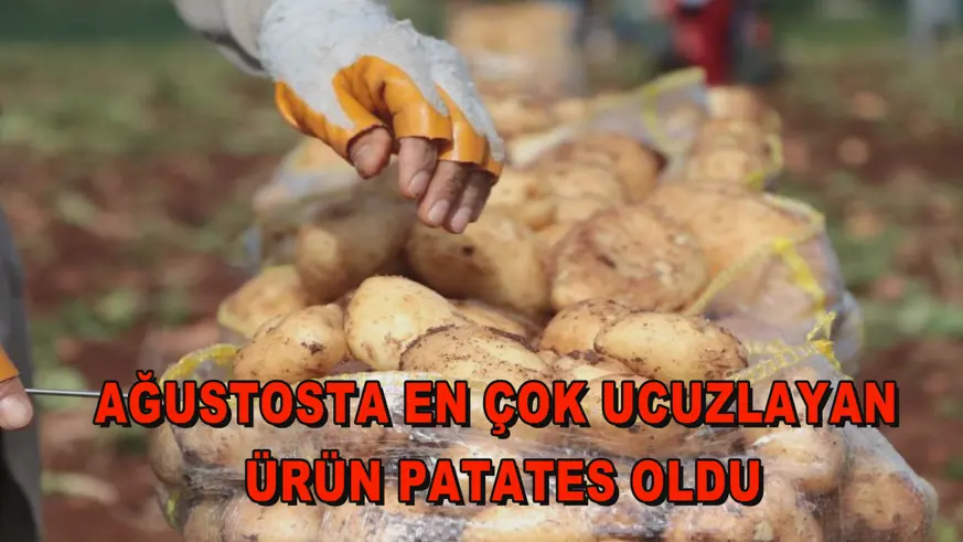 Ağustosta en çok ucuzlayan ürün patates oldu