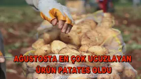 Ağustosta en çok ucuzlayan ürün patates oldu