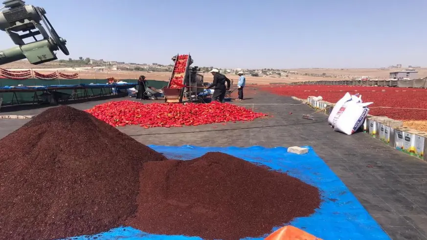 Şanlıurfa'da isotun 'acı' serüveni başladı