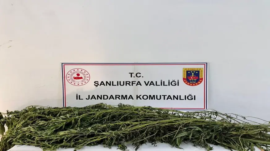 Şanlıurfa'da uyuşturucu operasyonu