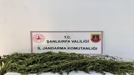 Şanlıurfa'da uyuşturucu operasyonu