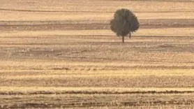 Silopi'de bir kişi arazide ölü bulundu