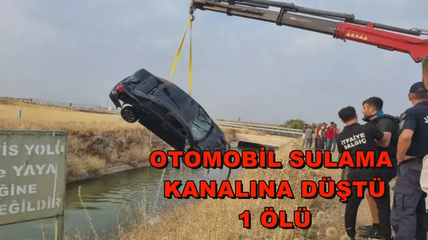Otomobil sulama kanalına düştü