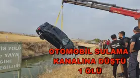 Otomobil sulama kanalına düştü