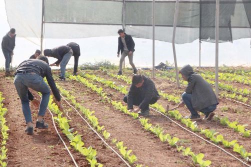 Geleceğin çiftçisi eğitimle yetişiyor!