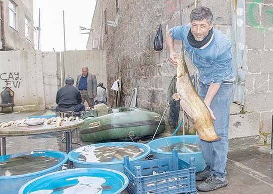 Gece attığı ağda, sabah 2 dev balık buldu