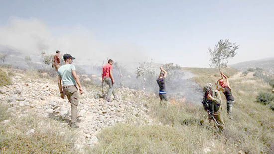 Yahudi yerleşimciler Filistinlilerin arazilerini ateşe verdi