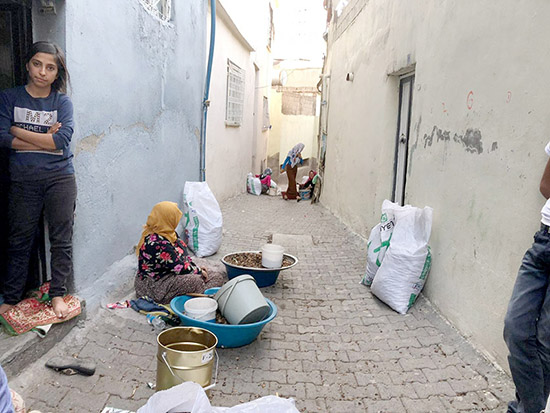 Siirt’te kadınlar ceviz kırarak aile bütçelerine katkı sağlıyor 