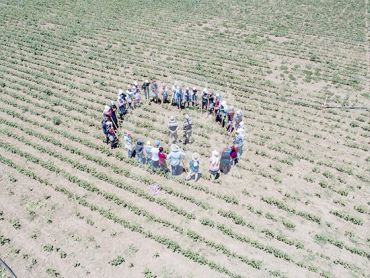 Mevsimlik işçilere jandarma denetimi