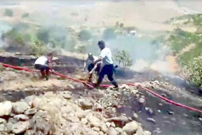 Siirt'teki yangında fıstık ve üzüm ağaçları küle döndü