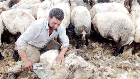 Göçerlerin zorlu yayla yaşamı   