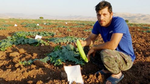 Ürünün bekçiliğini kayıtlar yapıyor