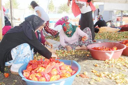 İsotun ‘acı’ yolculuğu   