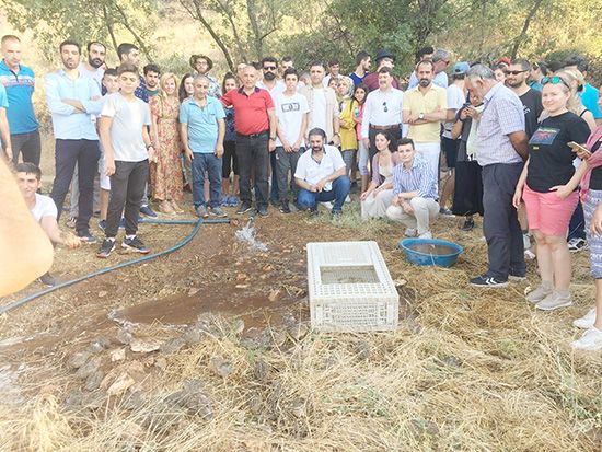 130 bıldırcın doğaya salındı