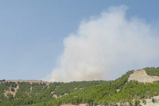 Adıyaman'da orman yangını