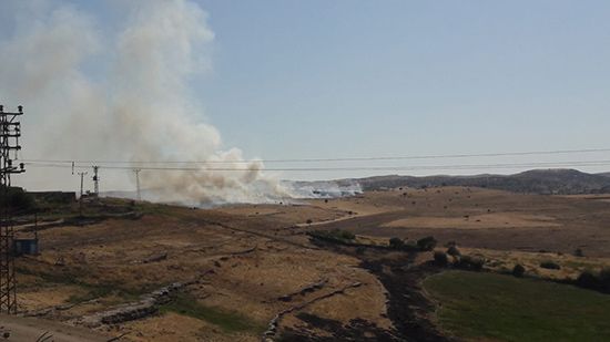 Diyarbakır’da anız yangını 