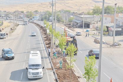 Silvan Caddesi’ni Ağaçlandırıyor...