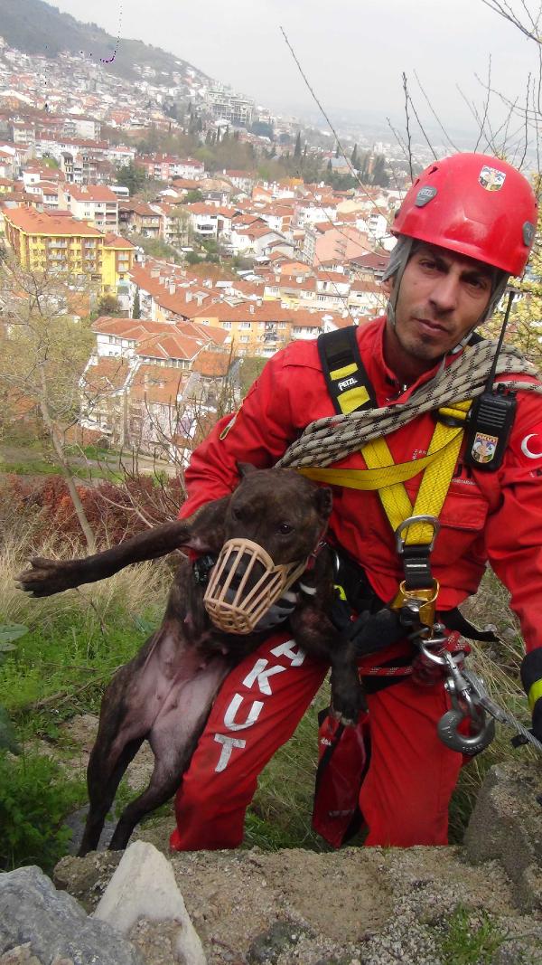 2 gündür uçurumda mahsur kalan köpeği AKUT kurtardı